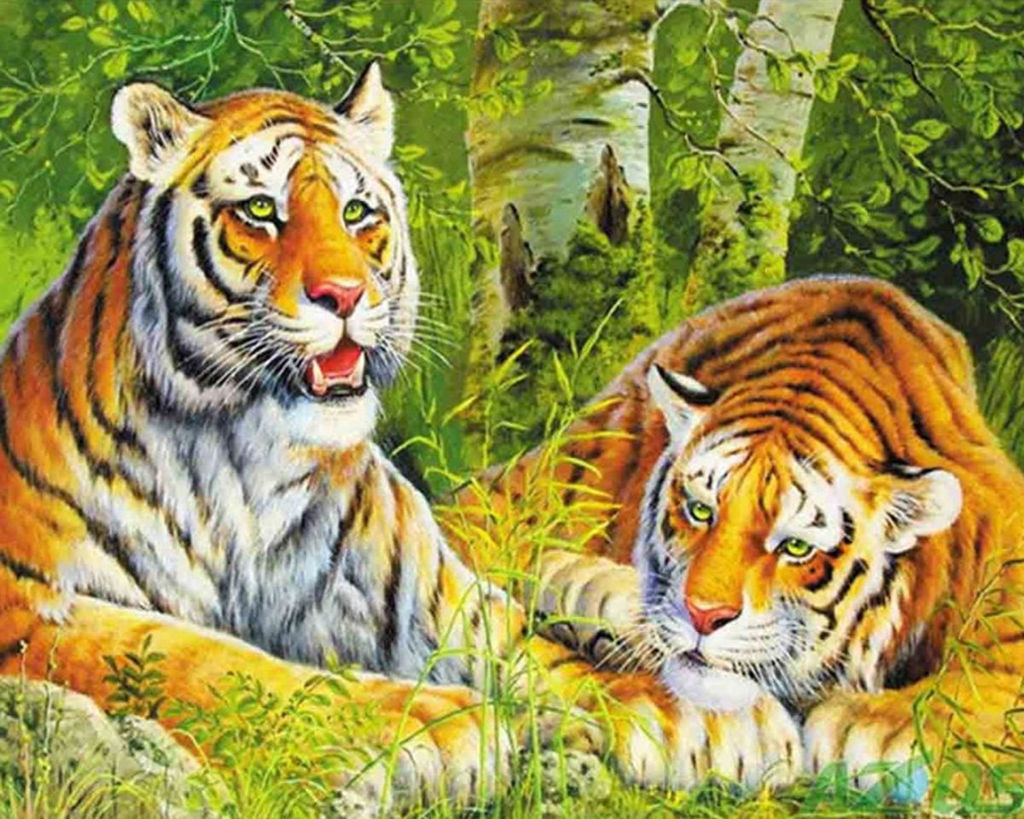 Картина по номерам на холсте и подрамнике 40х50 см