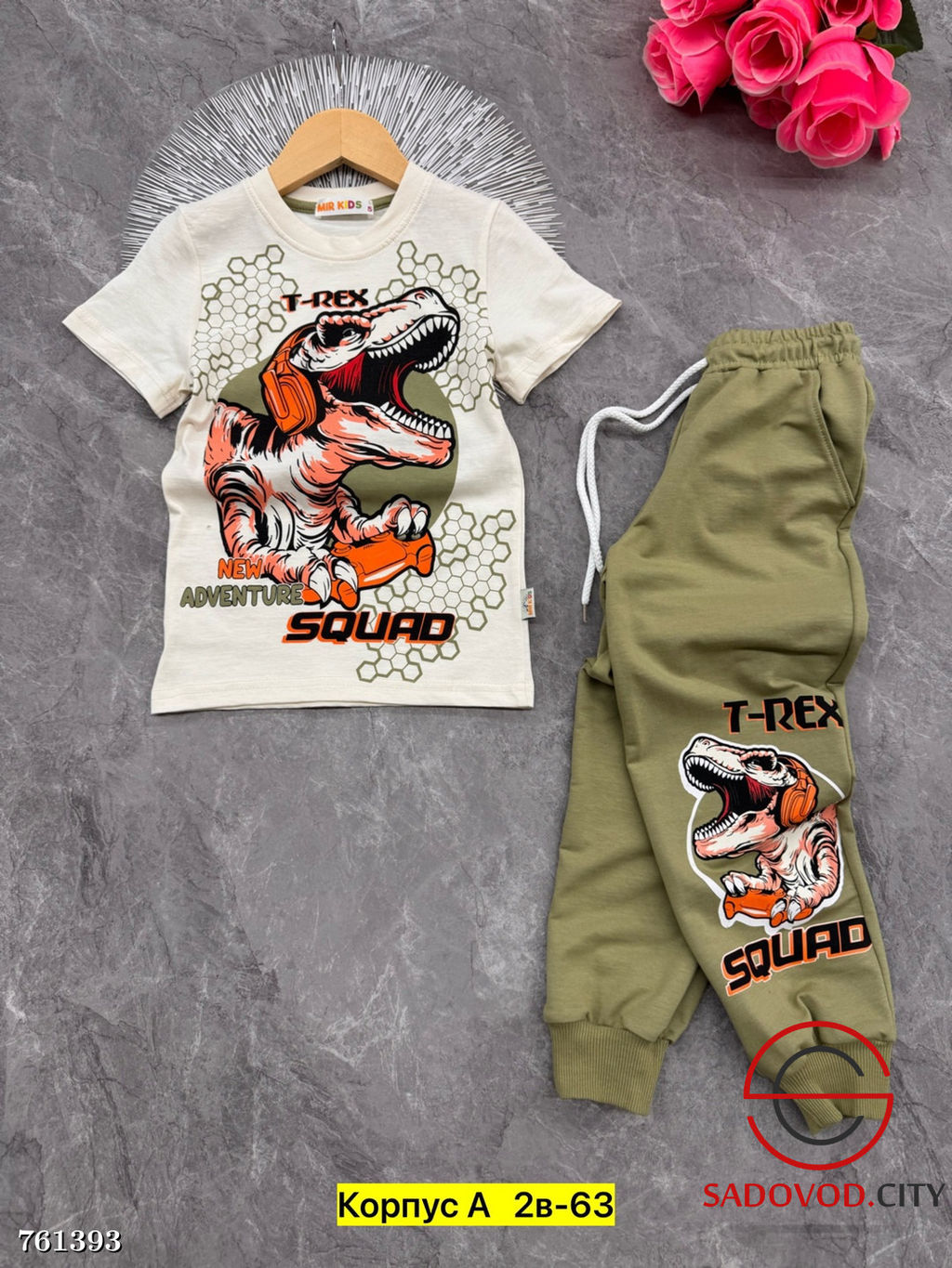 Костюм спортивный двойка