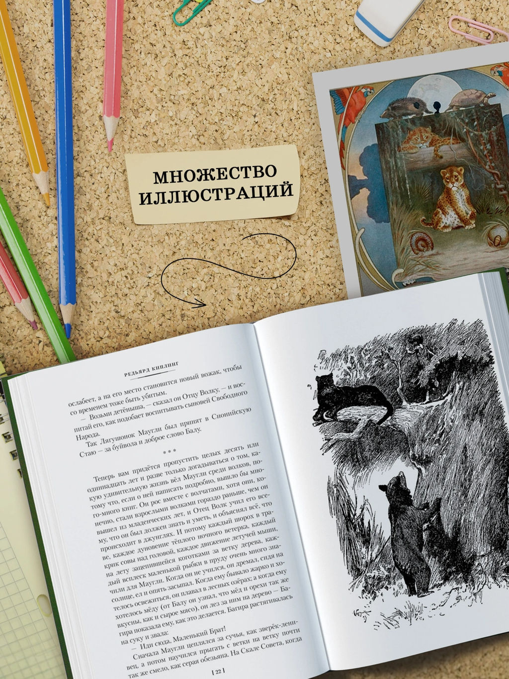 Большая Книга Джунглей. Киплинг Р. - Азбука фото 11