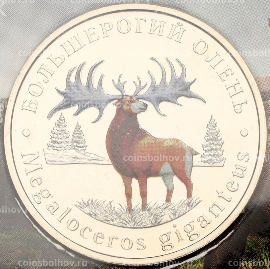 Монета Монетовидный жетон 5 червонцев 2024 года ММД Исчезнувшие виды Большерогий олень (Цветное покрытие, блистер)