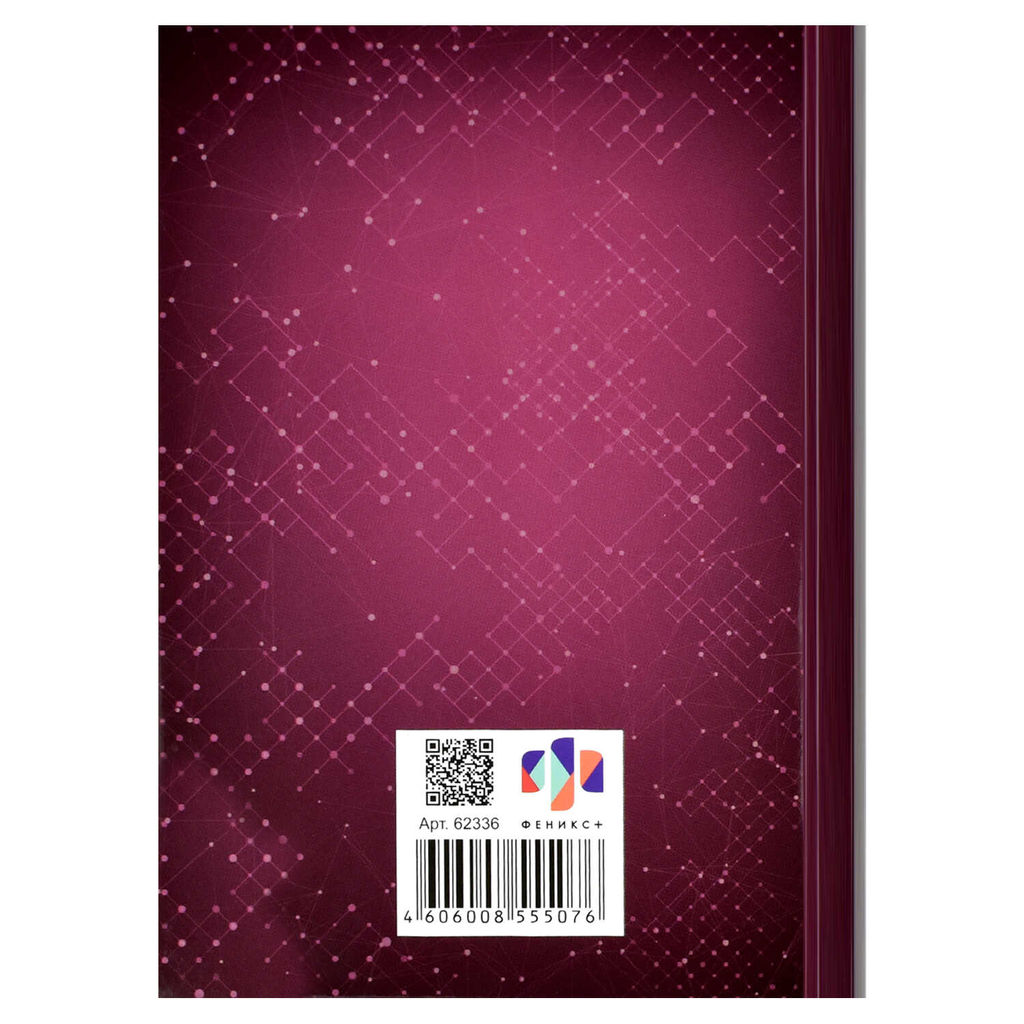 Ежегодник учителя арт. 62336 БОРДОВАЯ ФАКТУРА - Феникс+ фото 20