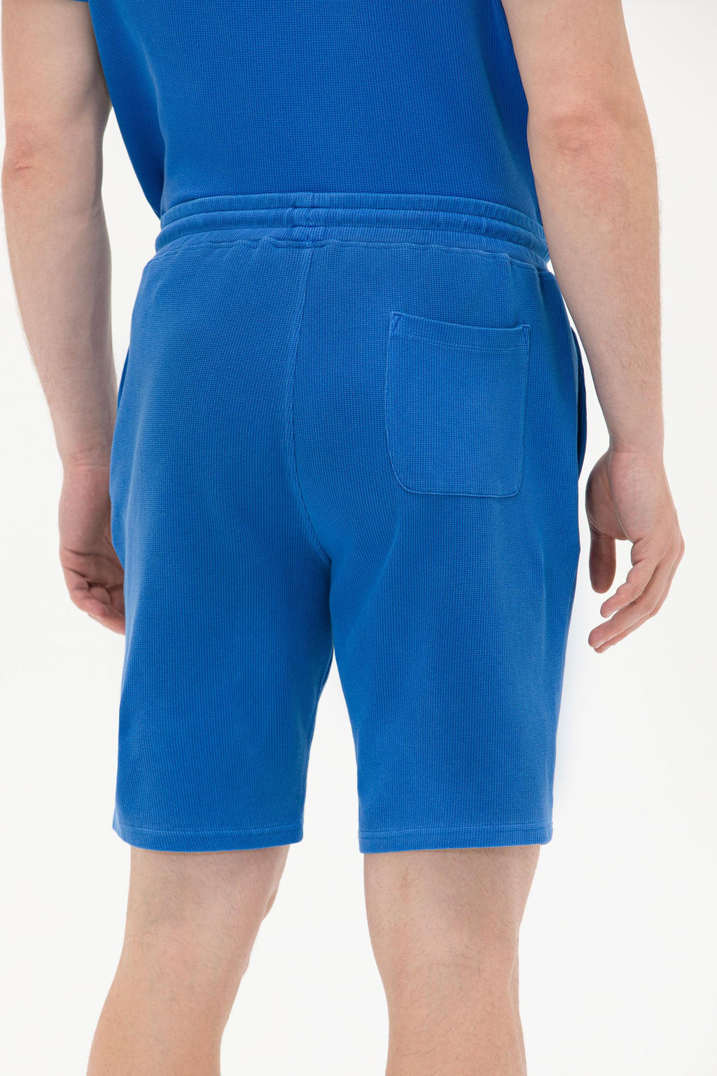 Мужские трикотажные шорты Sax - U.s. polo assn фото 7