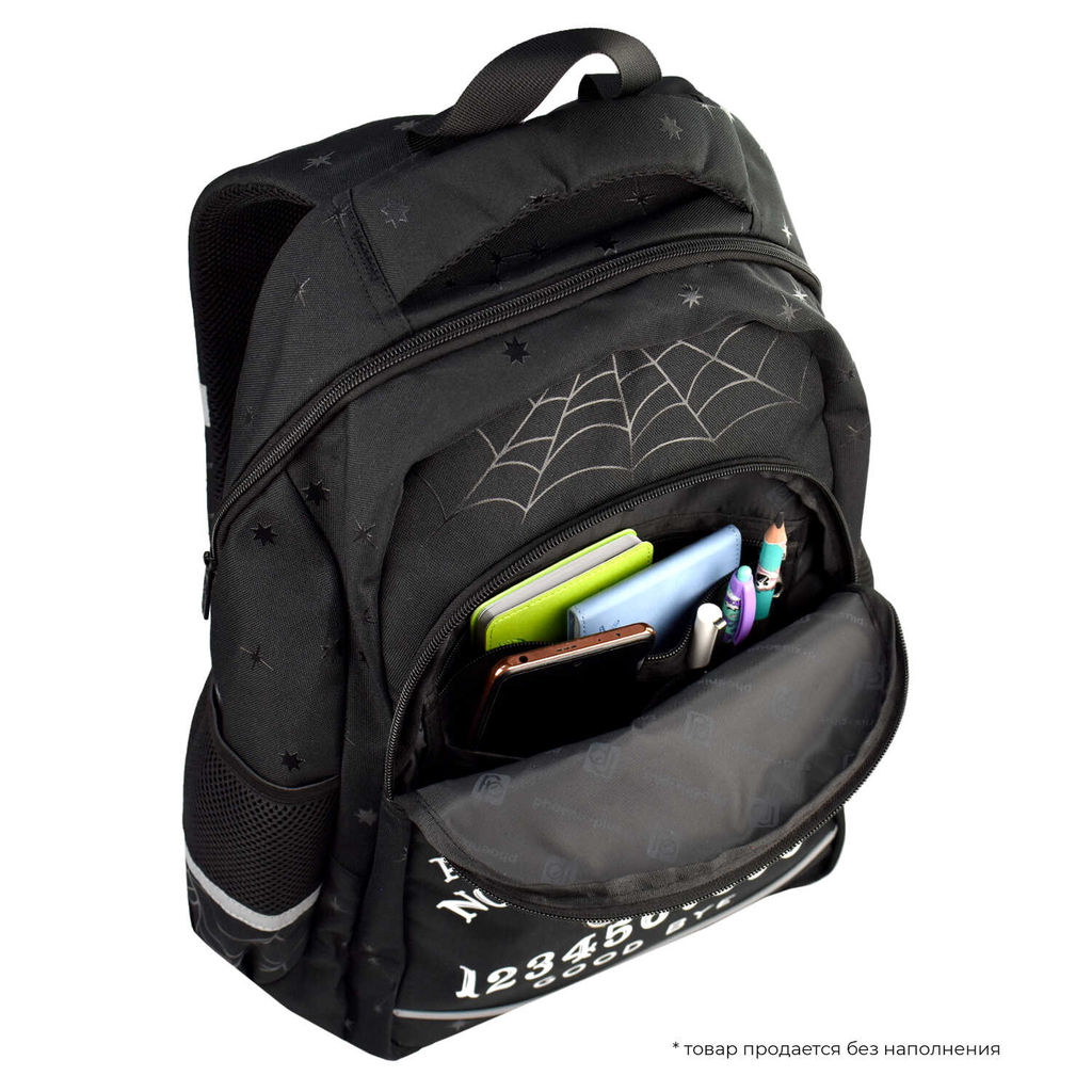 Рюкзак школьный Феникс+ арт.64517/ 10 МИЛАЯ ГОТИКА