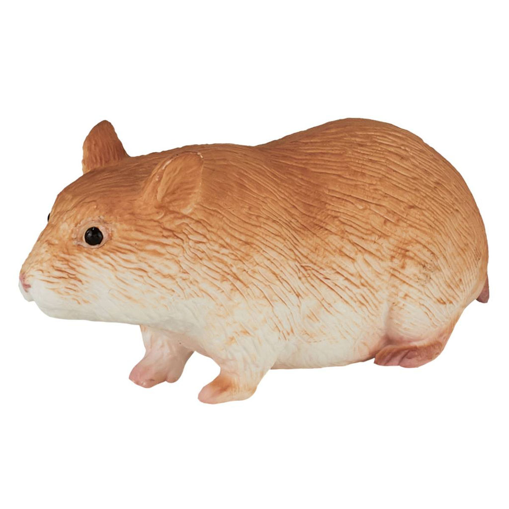 Хомяк