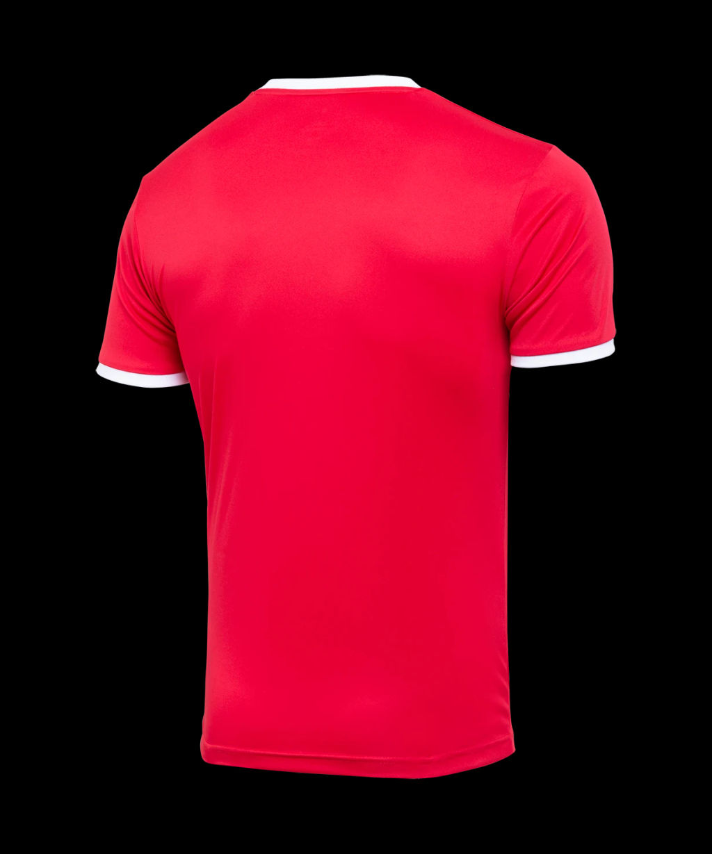 Футболка футбольная JOGEL CAMP Origin, красный/белый