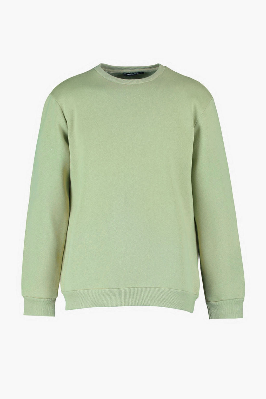 Yesil Bisiklet Yaka Regular/Normal Kesim Mistik Bask?l? Ici Polarl? Sweatshirt TMNAW23SW00303
