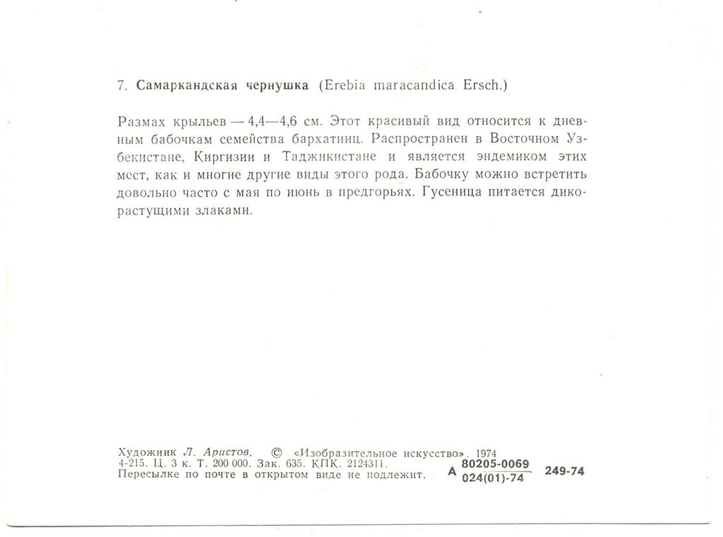 Открытка бабочки  Самаркандская чернушка