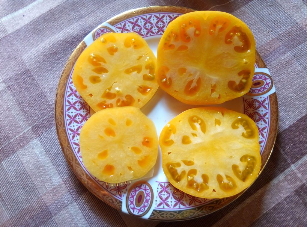 Томат Бизон оранжевый (сер.Вкуснотека) (А) (ЦВ) 10шт - Поиск фото 3