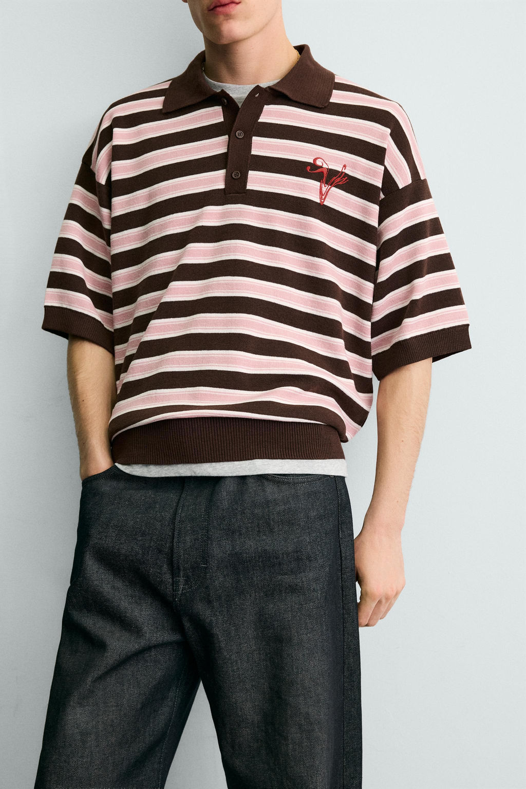 POLO PUNTO JACQUARD RAYAS / Chocolate - Zara фото 5