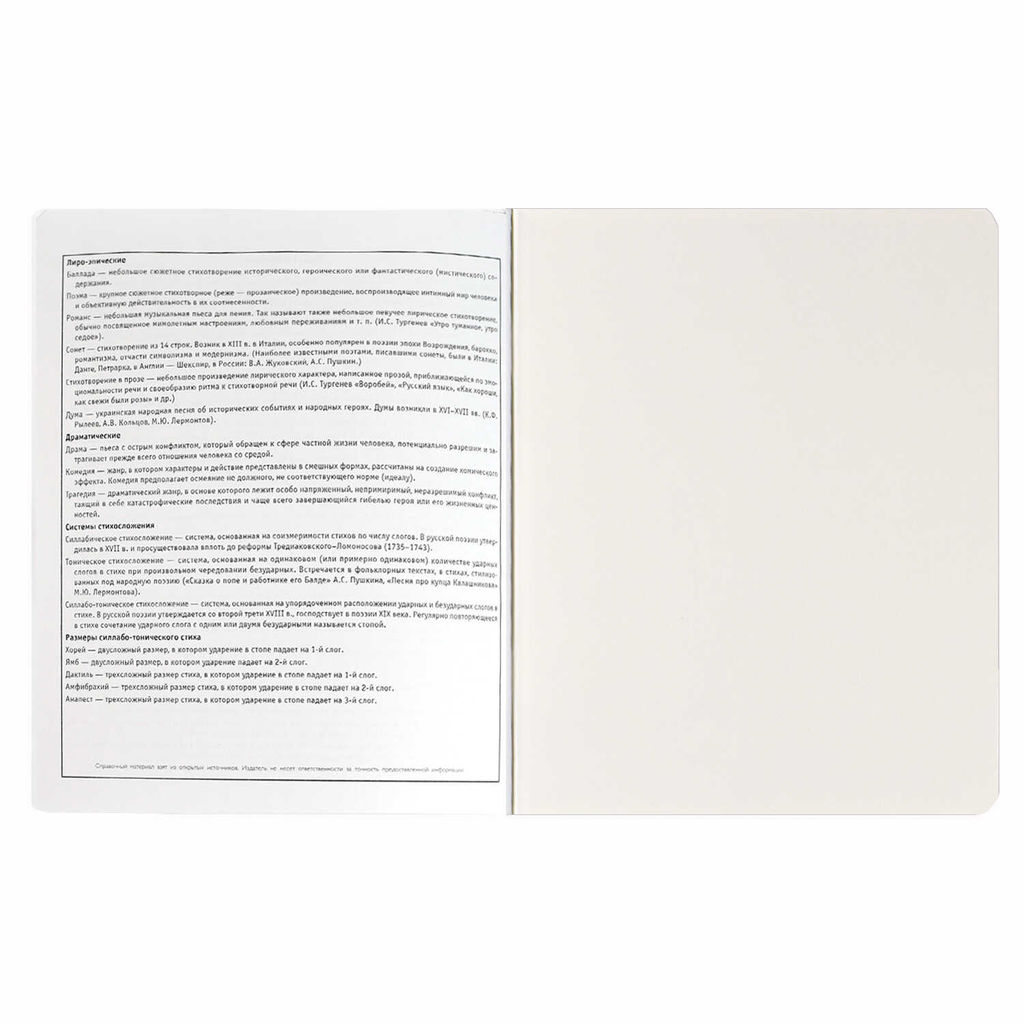 Тетрадь предметная арт. 69832/ 16 КОТЫ МЕМЫ ЛИТЕРАТУРА