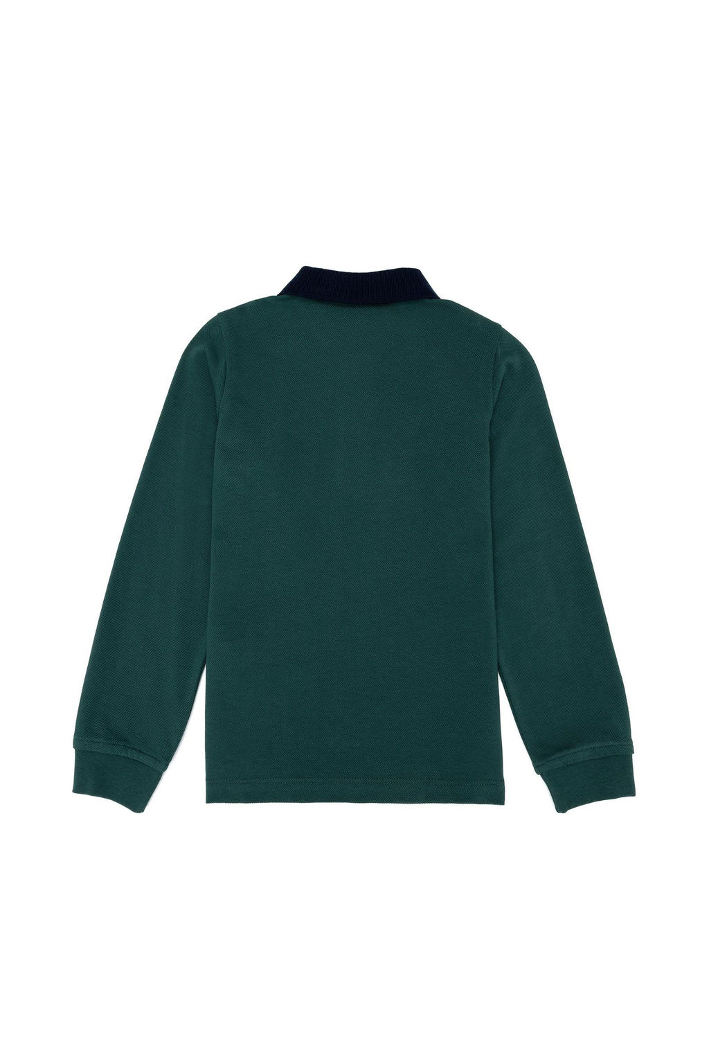 Зеленый базовый свитшот для мальчика Неожиданная скидка в корзине - U.s. polo assn фото 2