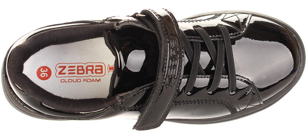 Дерби Зебра 18625-1