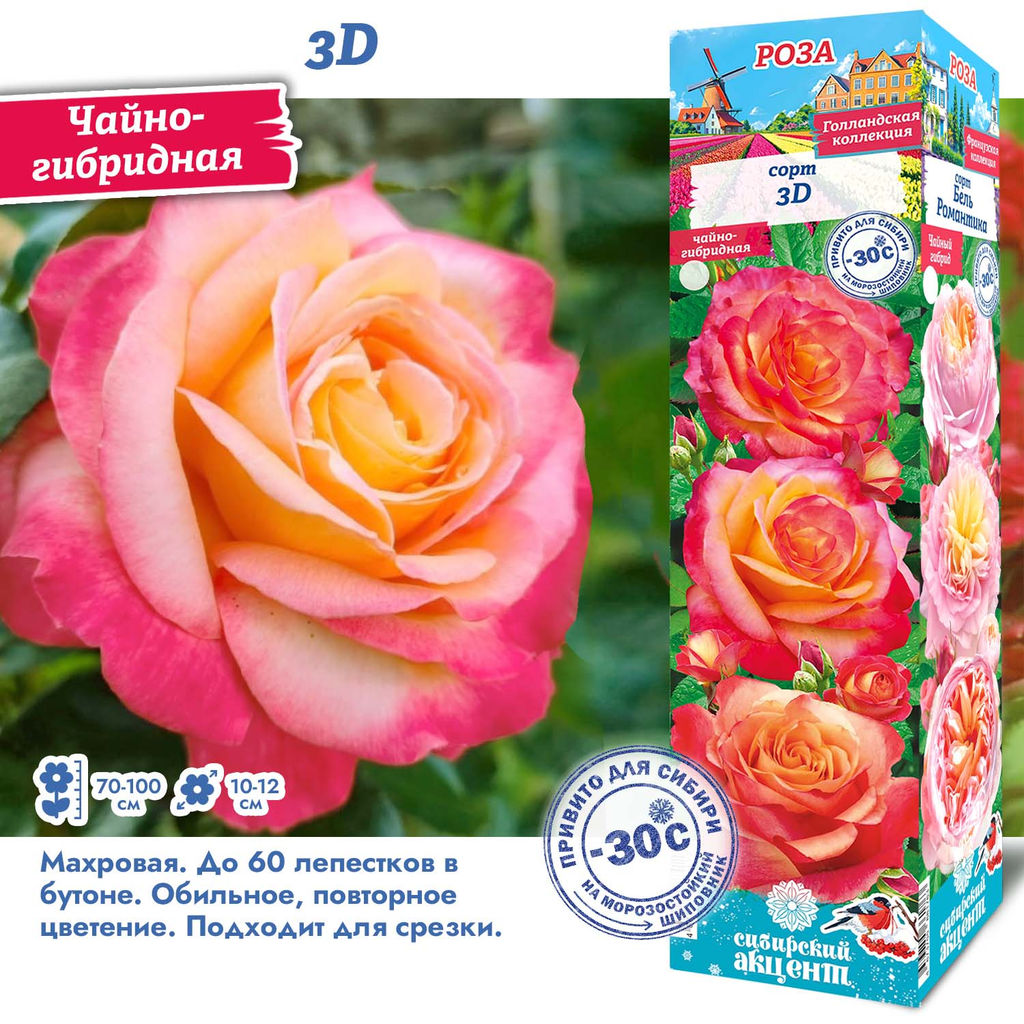 Роза 3D (Чайно-гибридная) 1шт