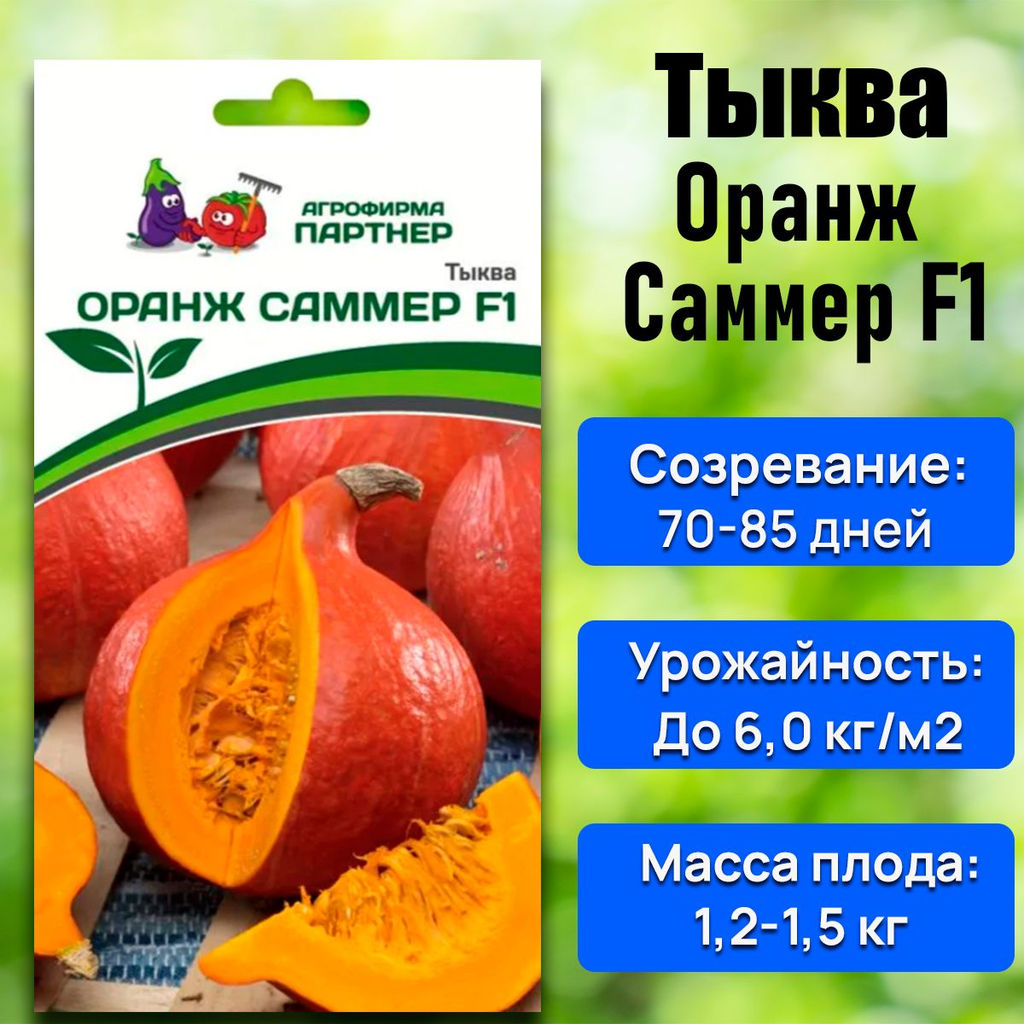 Тыква Оранж Саммер - Партнер фото 8
