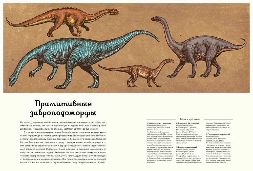 Динозавриум. Маррей Л., Скотт К., Брун Д. - Махаон фото 5