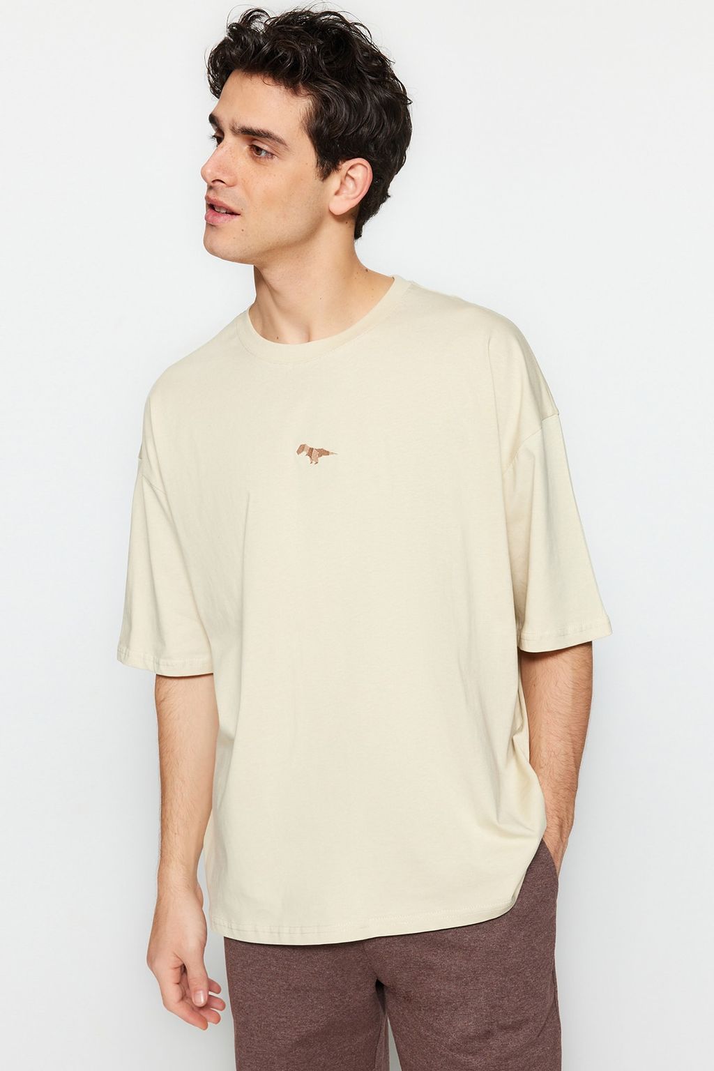 Tas Oversize/Genis Kesim Bisiklet Yaka K?sa Kol Dinozor Islemeli T-Shirt TMNSS23TS00243