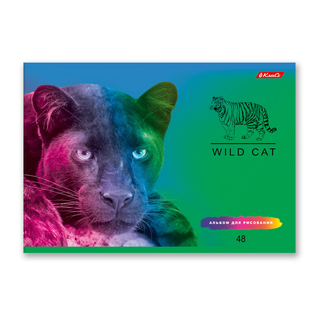 Светоч 48АЛСК4_1_3_9 Альбом для рисования 100 г/м2 A4 29 х 20.5 см 48 л. 5 шт. на скобе 000260 Зелёная ракета фото 31