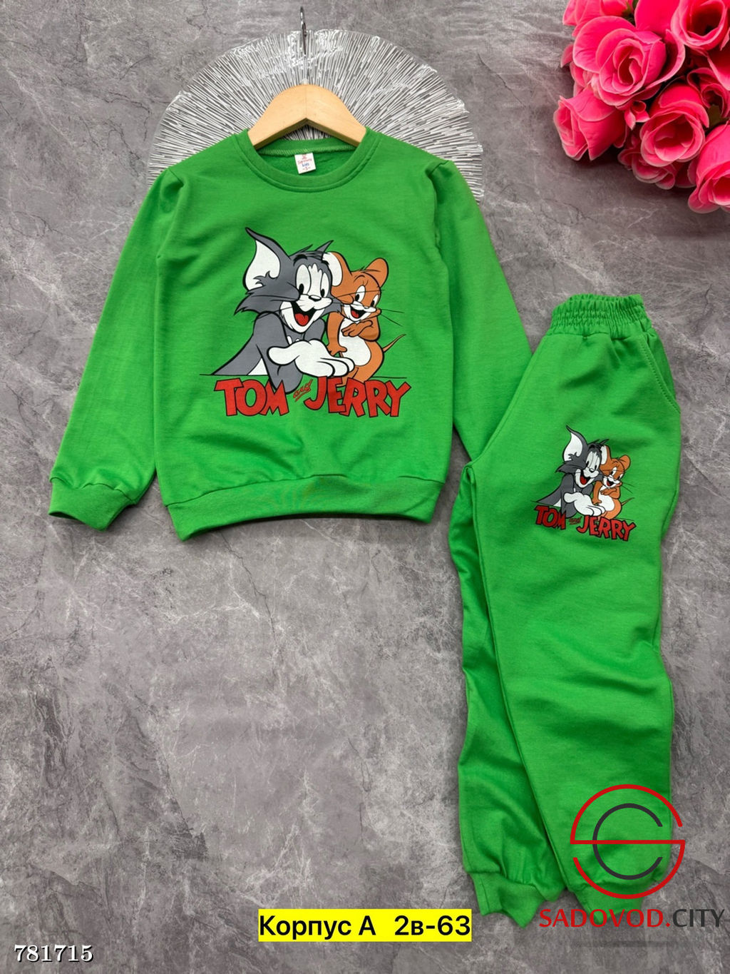 Костюм спортивный двойка