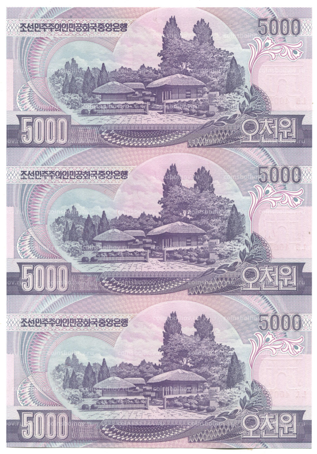 5000 вон 2006 года Северная Корея  Лист из трех банкнот