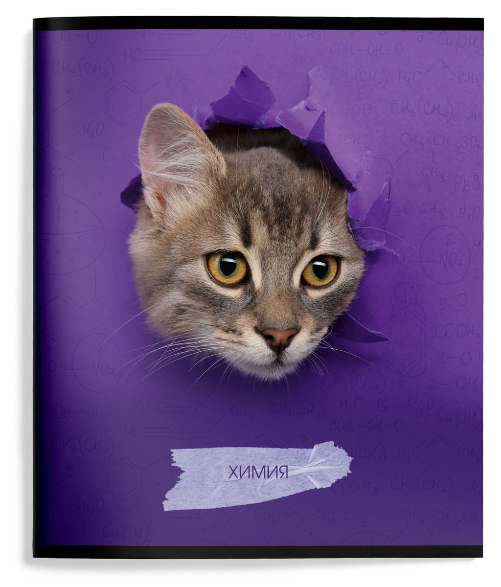 Цена за 2 шт. Тетрадь 48 л. А5 клетка, на скрепке, Schoolformat ЛЮБОПЫТНЫЙ КОТИК Химия мелованный картон...