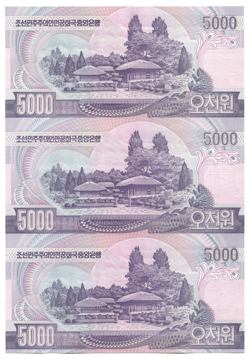 Банкнота 5000 вон 2006 года Северная Корея  Лист из трех банкнот