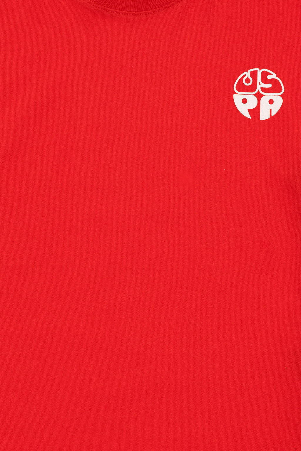 Красная базовая футболка для мальчика Неожиданная скидка в корзине - U.s. polo assn фото 5