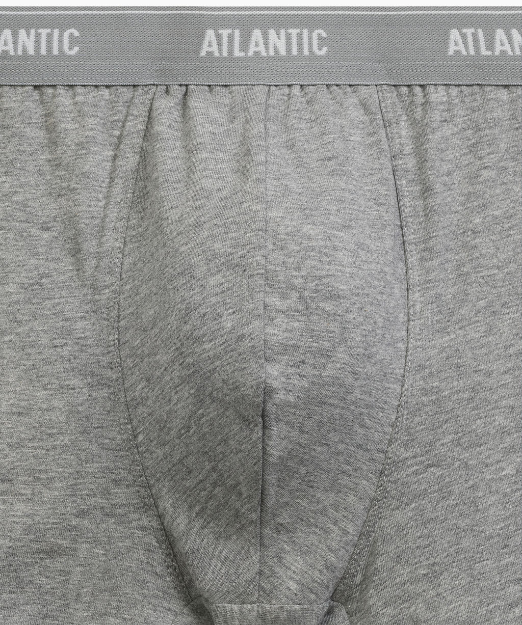ATLANTIC 2RMH-011 Трусы шорты - набор (2 шт.) серый меланж + морской фото 4