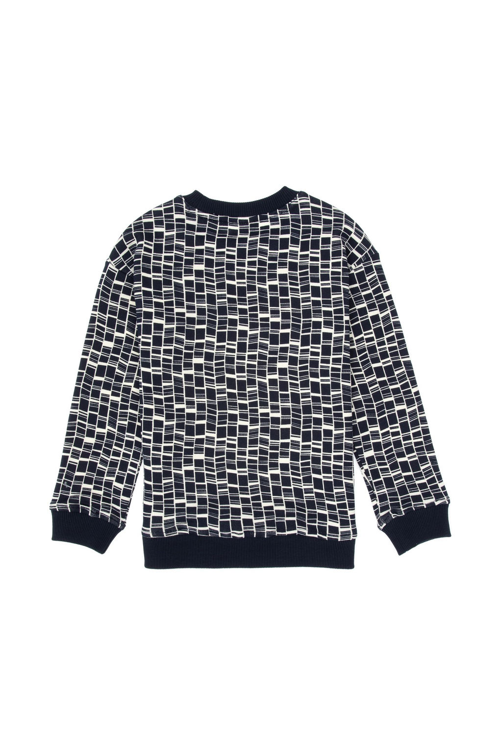Erkek _ocuk Lacivert Bisiklet Yaka Sweatshirt - U.s. polo assn фото 2