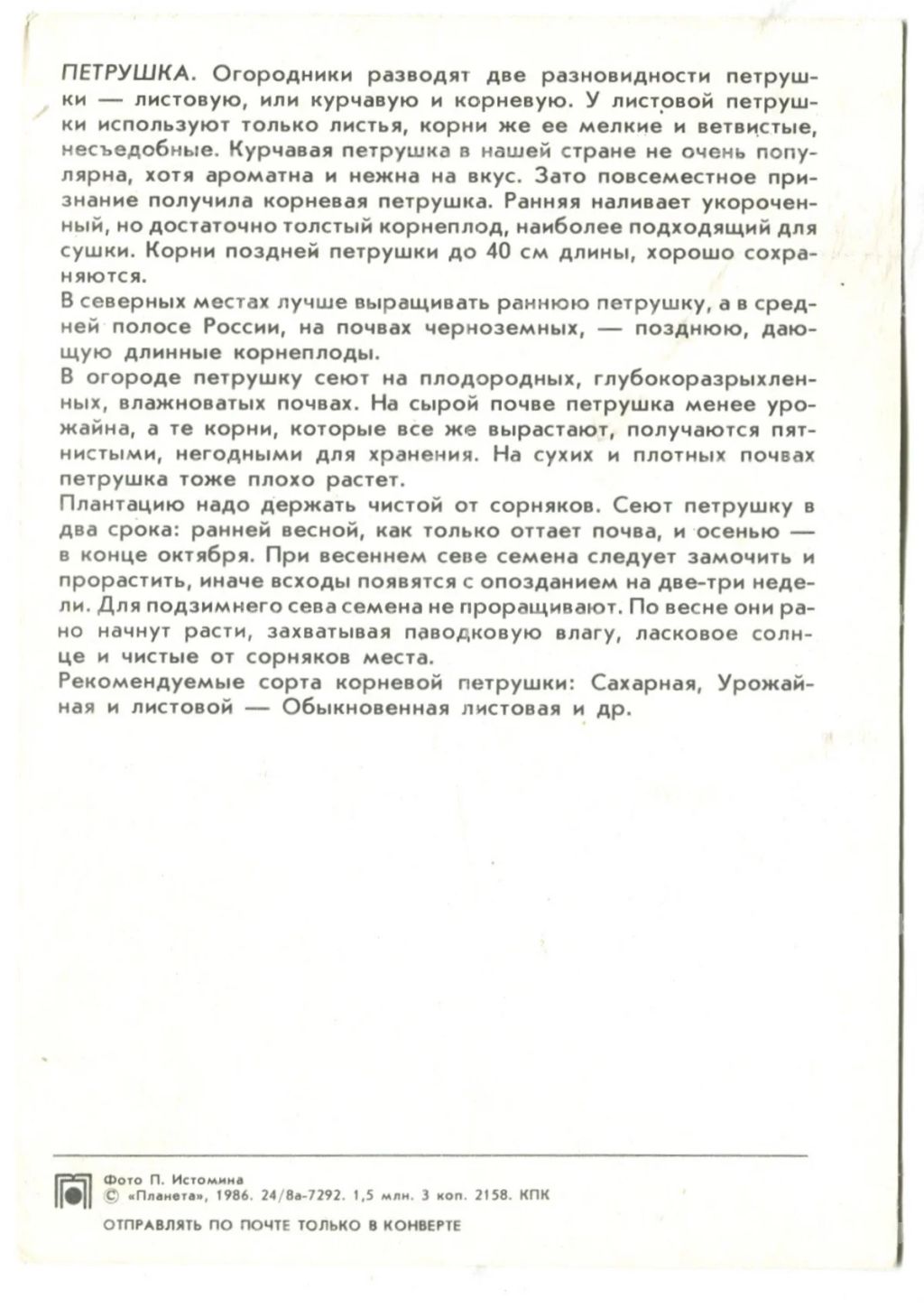 Открытка Петрушка