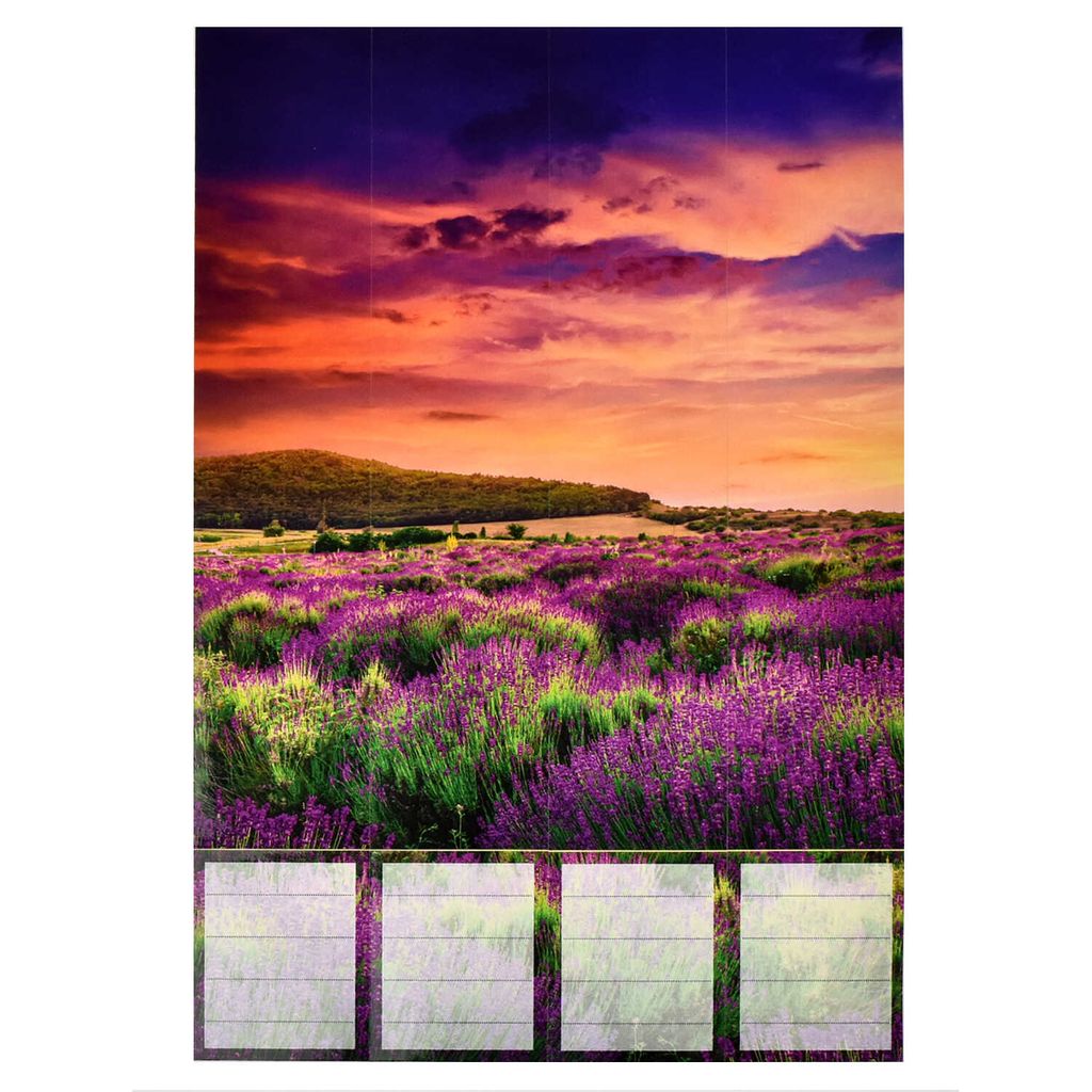 Этикетки самоклеящиеся для папок-регистраторов с корешком 5 см арт. 58504 - Escalada фото 2