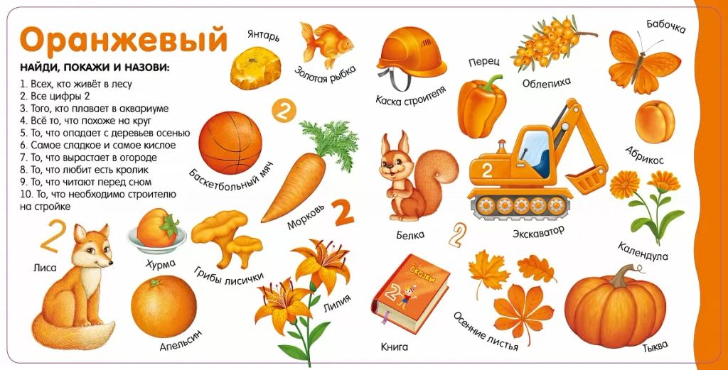 Изучаем цвета, слова, цифры - Робинс фото 3