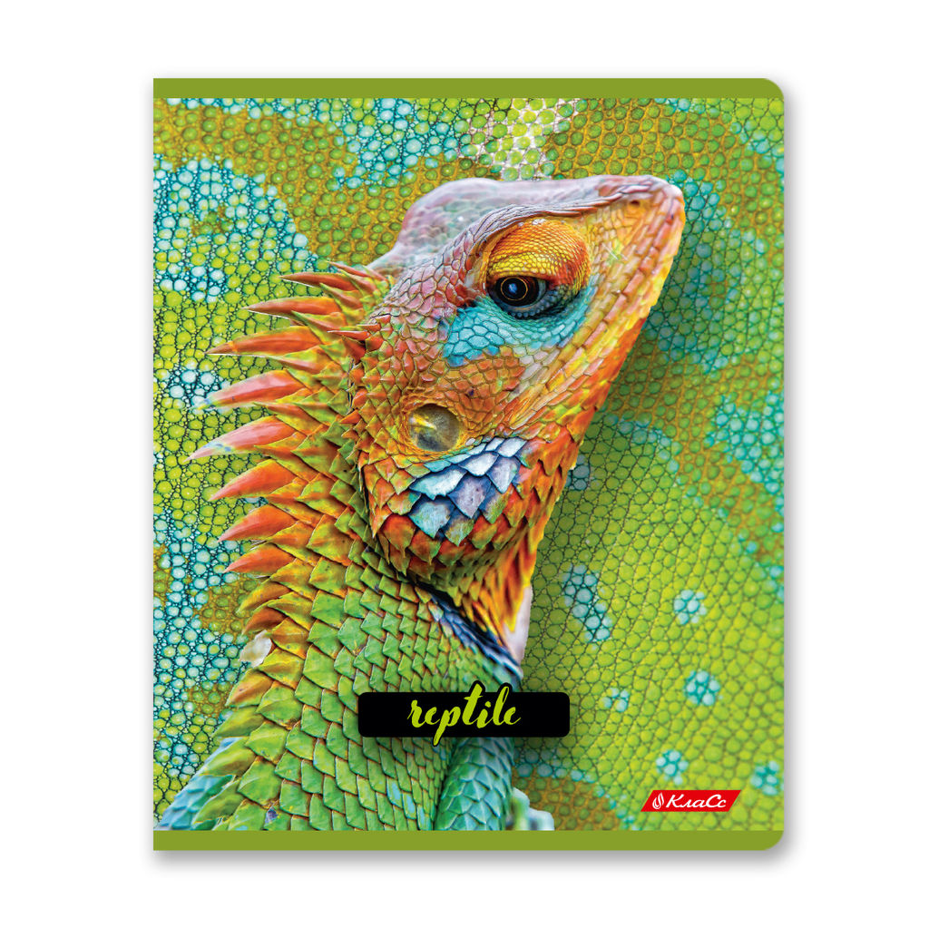 Светоч 80ТСК5_8_2_1 Тетрадь ученическая общая, твин лак, A5 80 л. на скобе 65 г/кв.м , белизна 100 % 5 шт. клетка 000487 Рептилии  фото 6