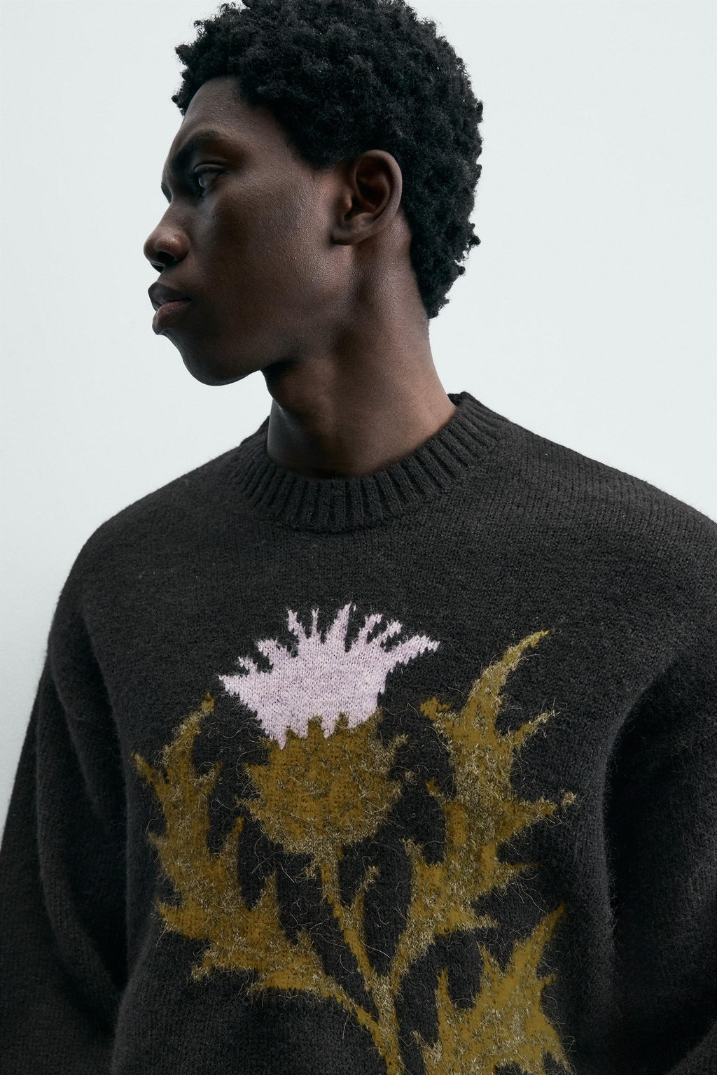 LIMITED EDITION JACQUARD THISTLE JUMPER - Zara фото 5