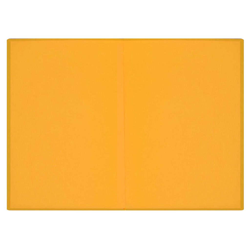 Ежедневник недатированный арт.47588/15 НАППА СИНИЙ - Феникс+ фото 7