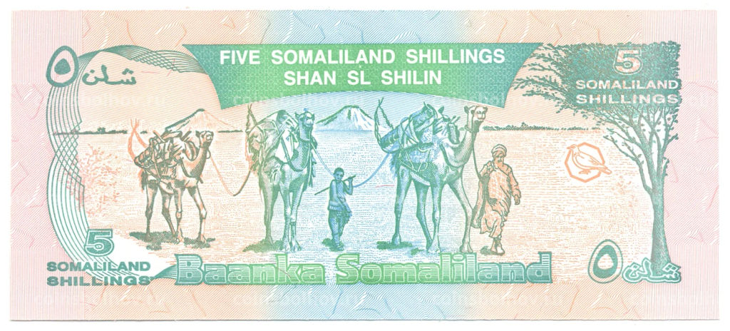 Банкнота 5 шиллингов 1994 года