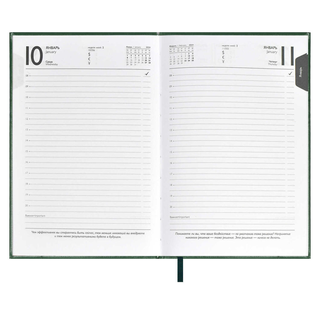 Ежедневник датированный 2024 ESCALADA, А5, 176 л., арт. 63746/ 15 САРИФ-ЭКОНОМ ЗЕЛЁНЫЙ  фото 9