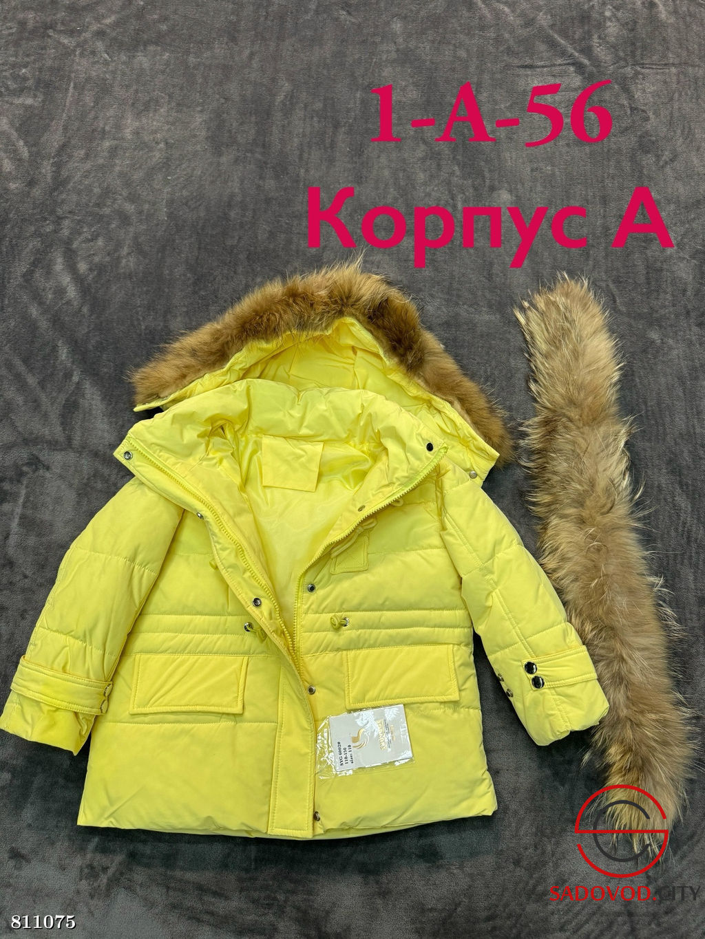 Зимняя подростковая куртка - Bruno фото 2