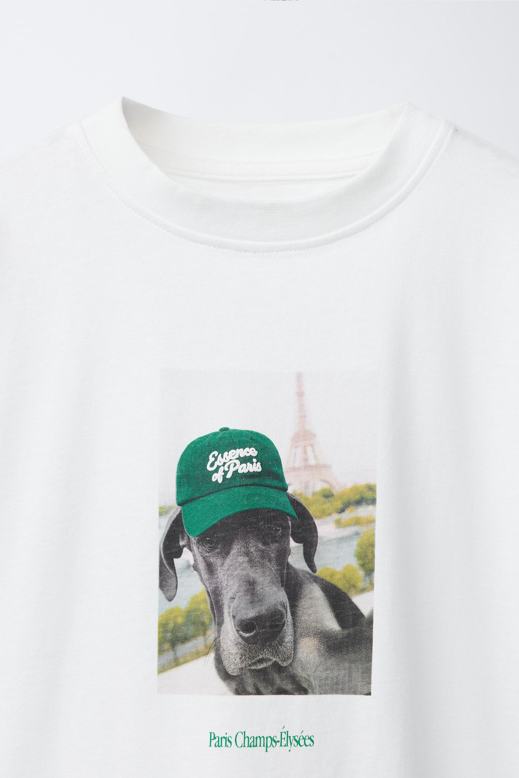 DOG PRINT T-SHIRT - Zara фото 9