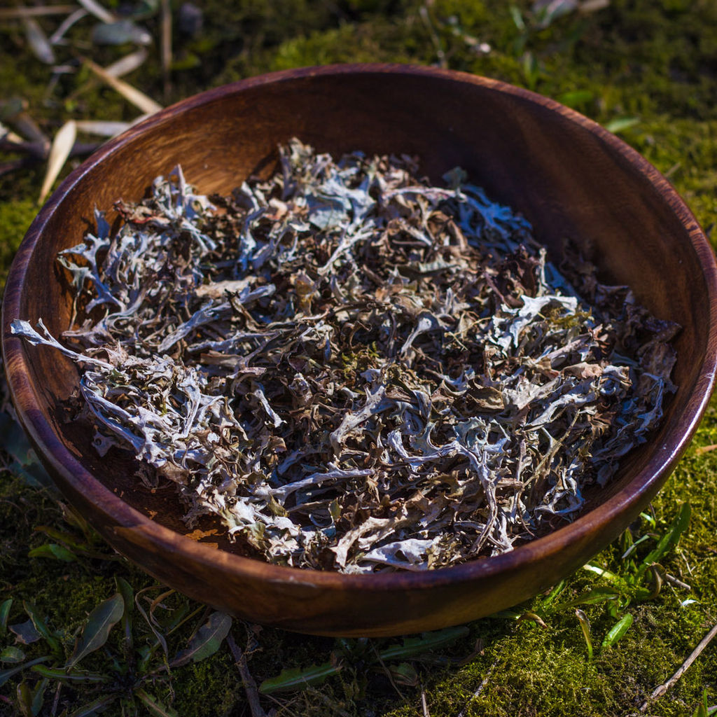 Benerich Исландский мох, 50 грамм  фото 5