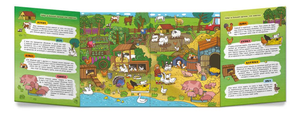 Книжка-картинка для детей. Серия Найди, покажи, узнай арт. 59043 БОЛЬШАЯ ФЕРМА - Феникс+ фото 3