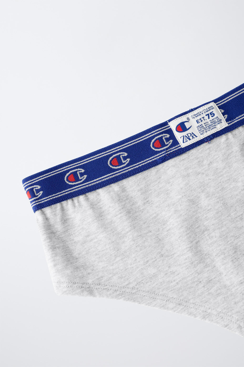 8-14 YEARS/ CHAMPION ® X ZARA TOP AND BRIEF SET  фото 4