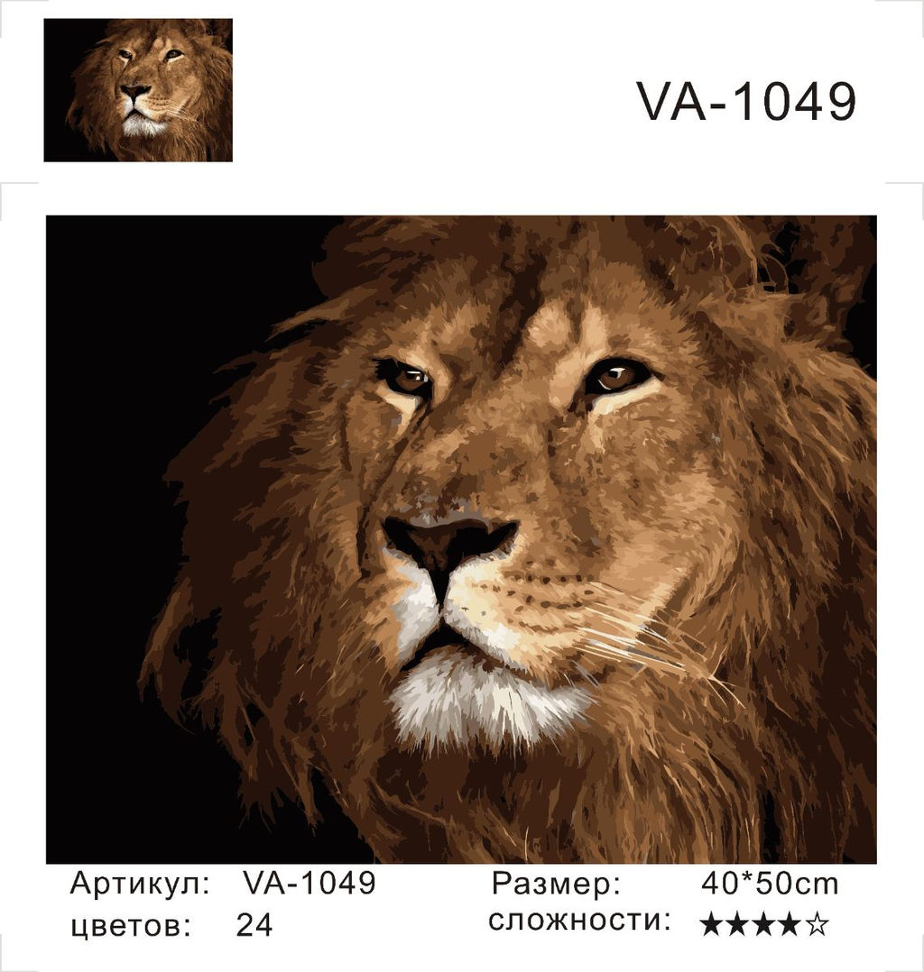 Картина по номерам на холсте и подрамнике 40х50 см