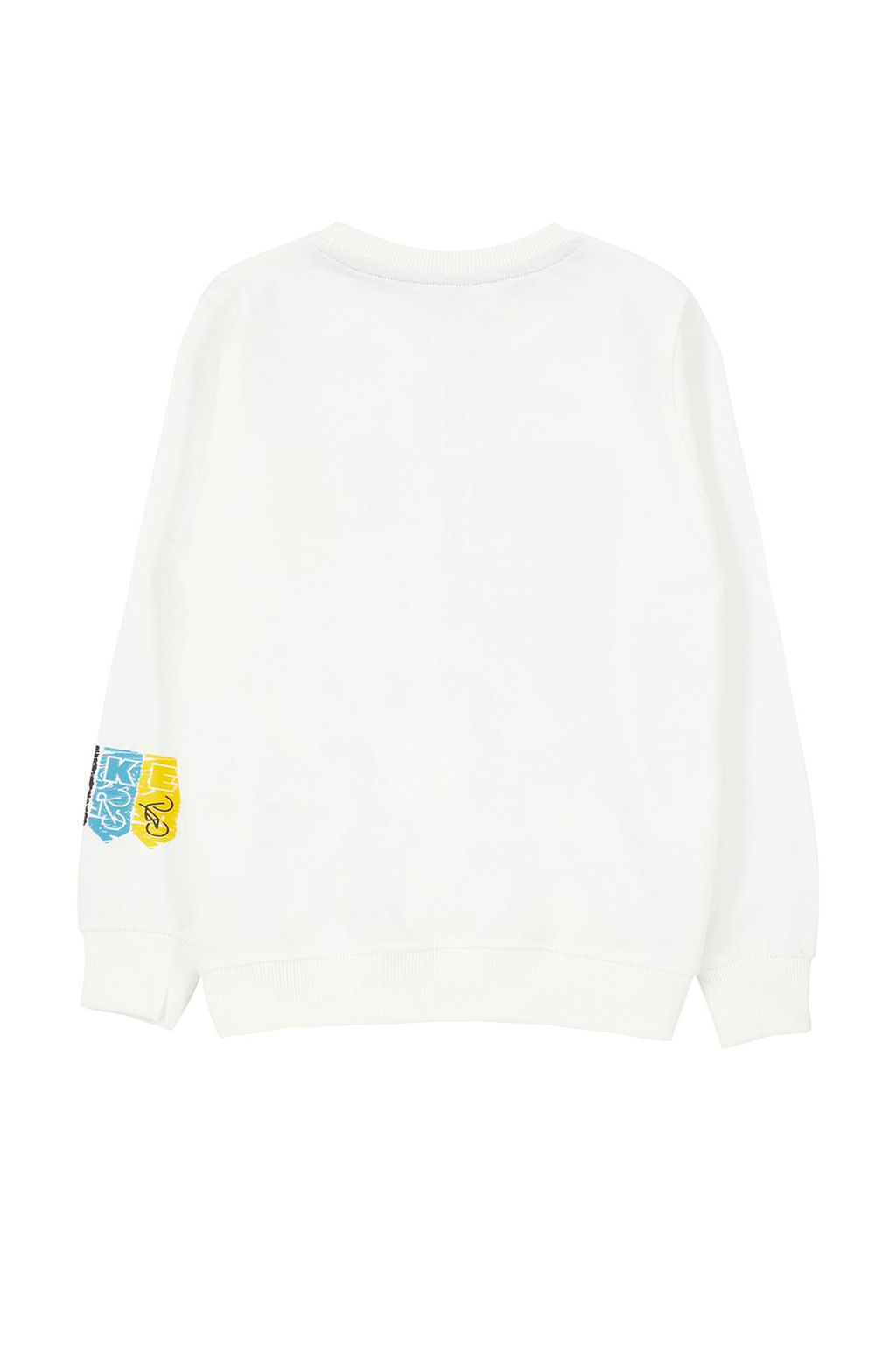 Ekru Erkek Cocuk Nak?sl? / Islemeli Bask?l? Orme Sweatshirt TKDAW25SW00007