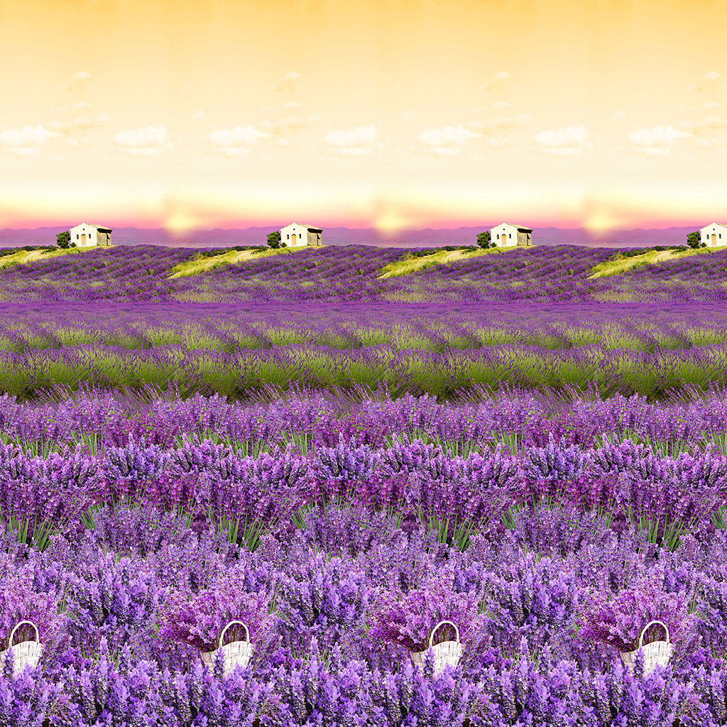 Покрывало стеганое Французские просторы 260х215см, спальное место 180см, бязь набивная Комфорт 121г/м2, хлопок 100%, многоигольная стежка, наполнитель синтепон 70гр, подкладка бязь отбеленная 121г/м2, Домашняя мода (Россия)  фото 5