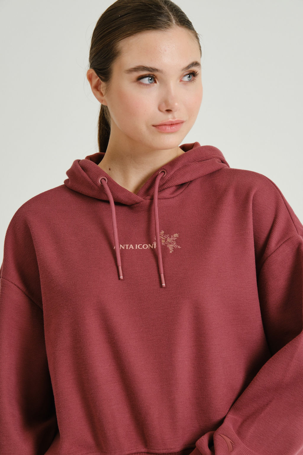 Худи утепленное Красный ICONIC Sweat Hoodie