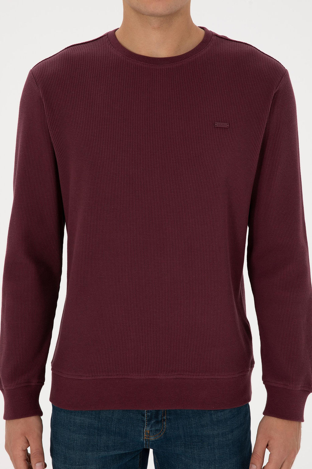Erkek Regular Fit Bisiklet Yaka Bordo Sweatshirt - U.s. polo assn фото 6