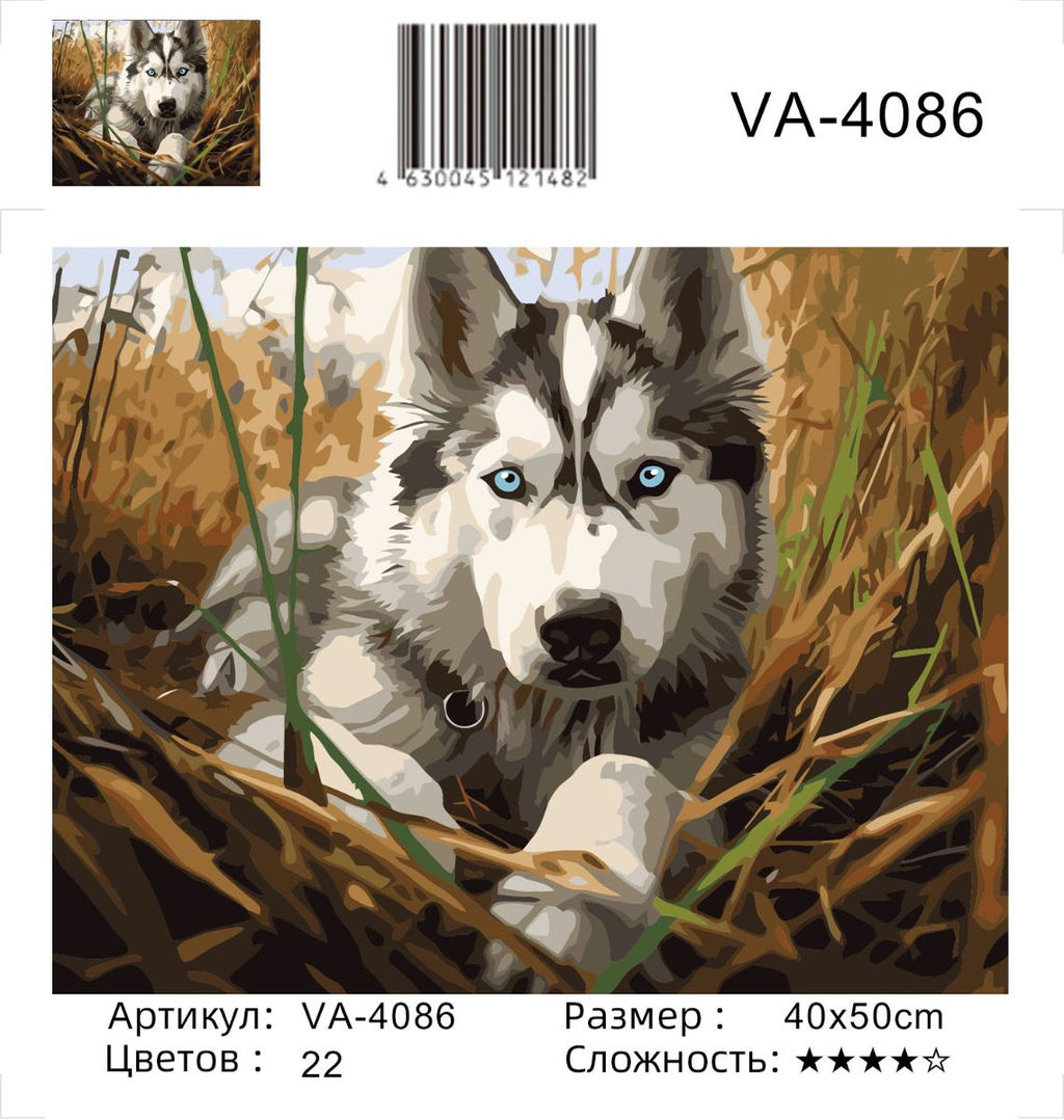 Картина по номерам на холсте и подрамнике 40х50 см