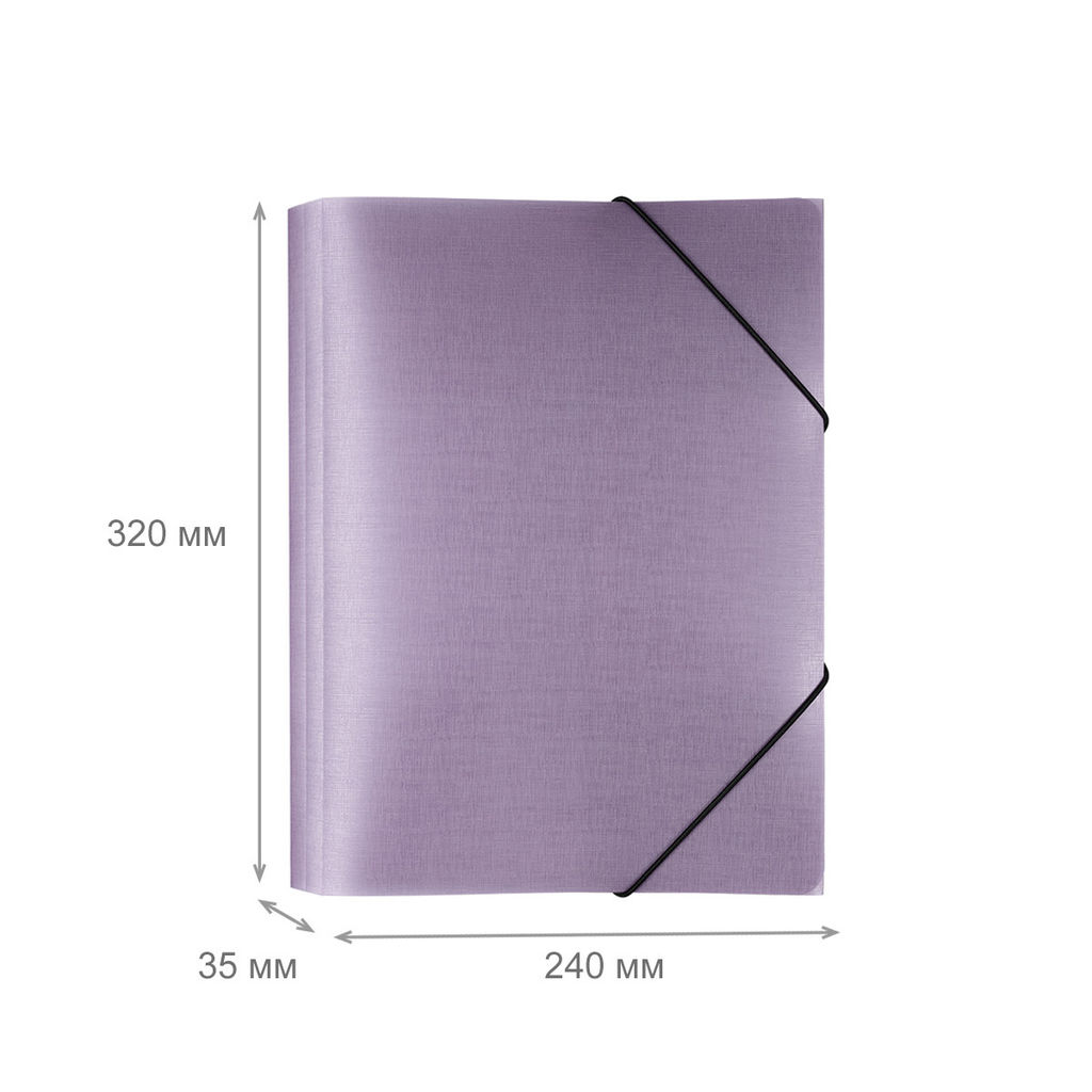 Expert Complete Trend ICEberries Папка на резинке A4 600 мкм 35 мм лён 1 шт. ежевика EC210420072