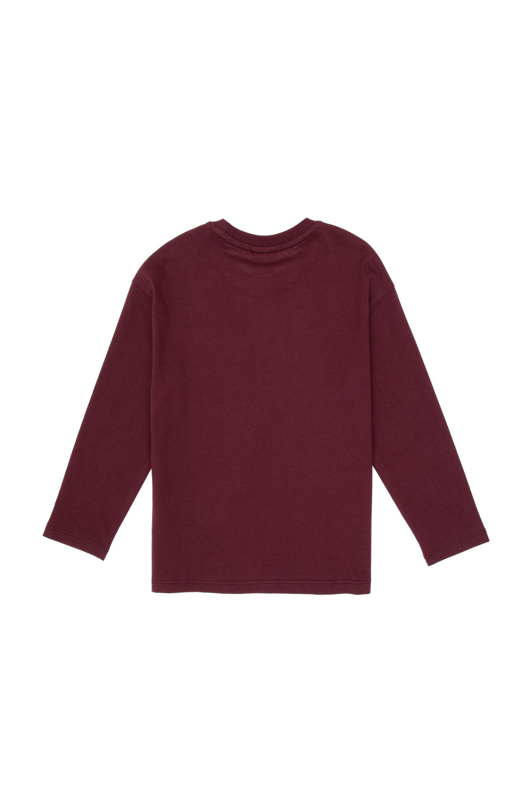 Erkek _ocuk Bordo Bisiklet Yaka Sweatshirt - U.s. polo assn фото 7