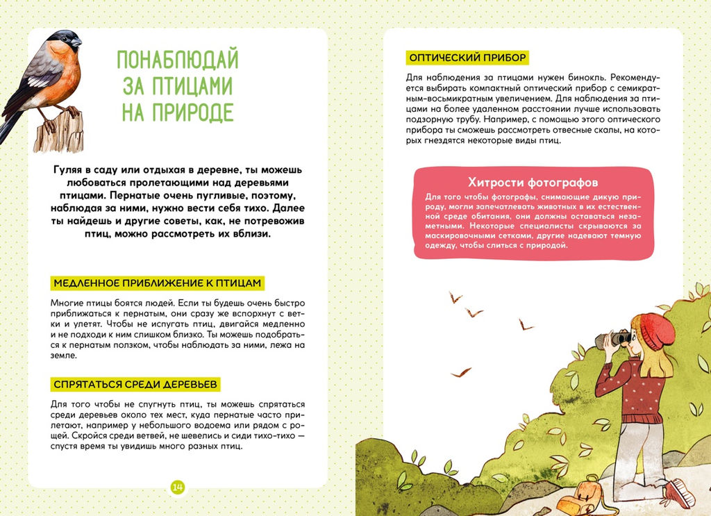 Птицы. Лучези М. - Махаон фото 6